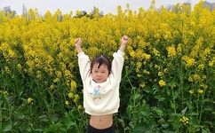 夕阳之约老头图片